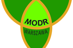 Main pic medium logo modr