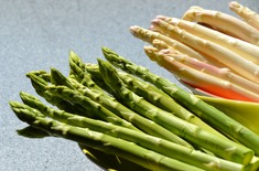 Main pic medium asparagus 5087775 1920